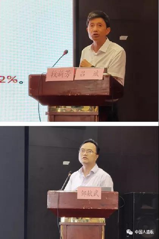 我司协办《人造板及其制品甲醛释放量分级》等5项标准宣贯会成功召开 我司协办《人造板及其制品甲醛释放量分级》等5项标准宣贯会成功召开